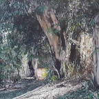 Nurit rotbaum 70x27.5 oil on canvas