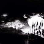 Czycholl - Tantzen Marlis · Abendlicht. Wie flammt das Schilf auf vor dem Vergehen! · Acryl auf Leinwand · 50 x 50 cm · 2009