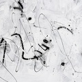 Grässli Michael · Untitled· Acryl und Sprühlack auf Leinwand · 150 x 110 cm · 2015.jpg