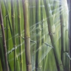 Bauer Dieter · 01 · „Bambus“ · Öl auf Leinwand · 100 x 70 cm · 2012