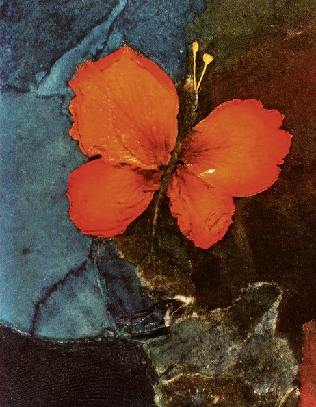 Nyirady Christine · 03 · „Butterfly“ · Collage mit Rosenblättern auf Leinwand · 8,5 x 11 cm · 1980.jpg