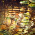 Sonnenspiegelung im Teich, 50x70 cm
