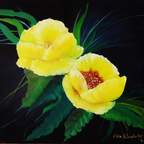 Gelbe Mohnblüten, Öl auf Leinen, 50x70 cm