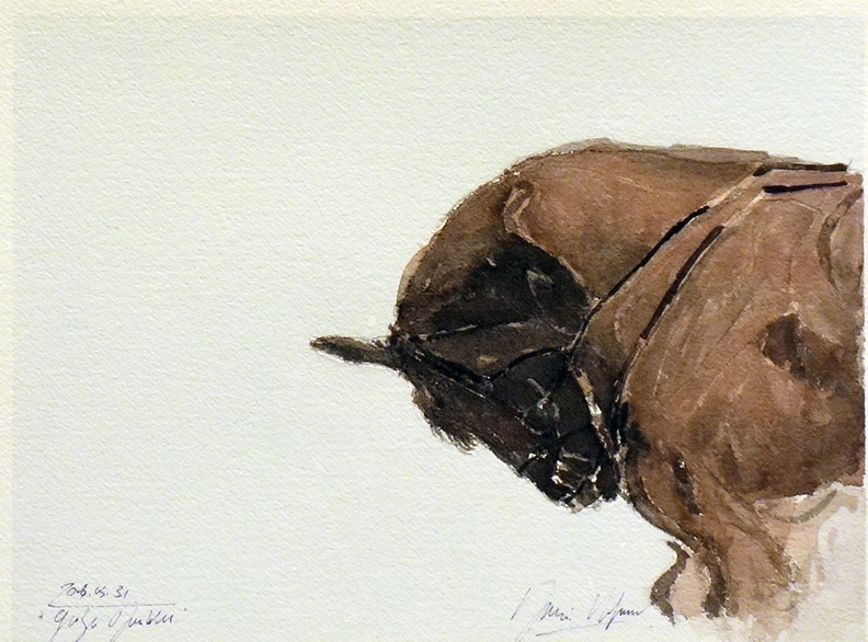 Hofmeister Herwig, Pferd 1, Aquarell, 30x40 cm.jpg