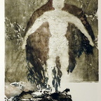 Jüttner Renate, Paradiesvogel, Lithographie, 70x50 cm