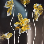 TOVA GURKEVICH