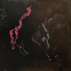DANA FRIDMAN