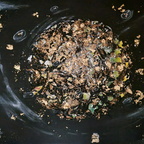 Mina laVerde Chaos -u-Kosmos 60x80 cm
